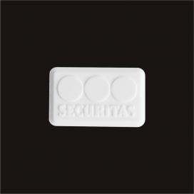 customized rectangled peppermints
